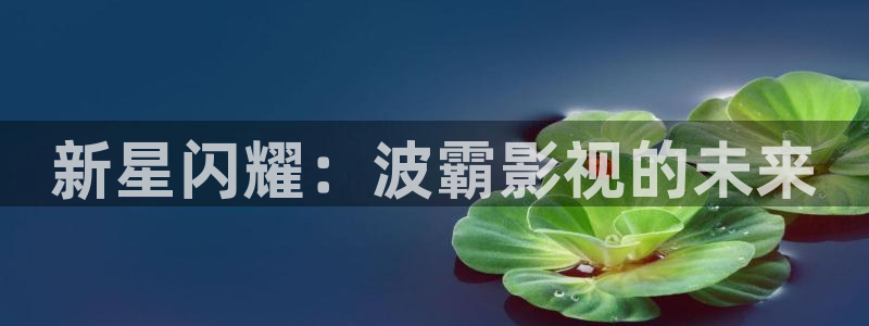 泡泡小视频视频：新星闪耀：波霸影视的未来