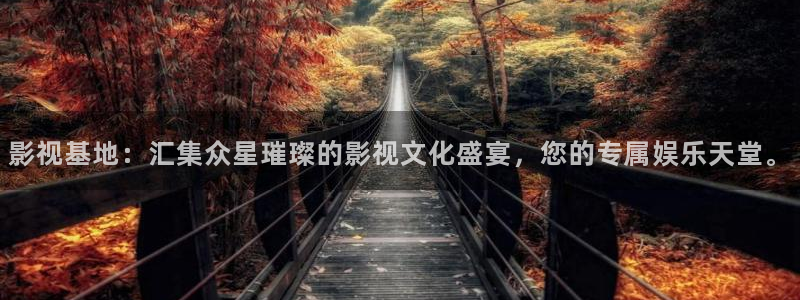 大泡泡：影视基地：汇集众星璀璨的影视文化盛宴，您的专属娱乐天堂。