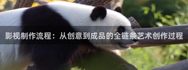 泡泡影视在线：影视制作流程：从创意到成品的全链条艺术创作过程