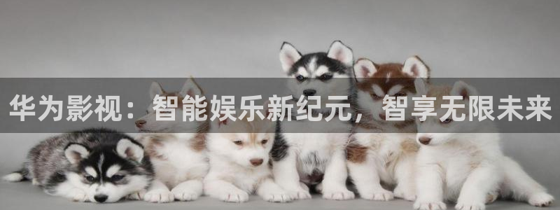 猪泡泡影视大全：华为影视：智能娱乐新纪元，智享无限未来