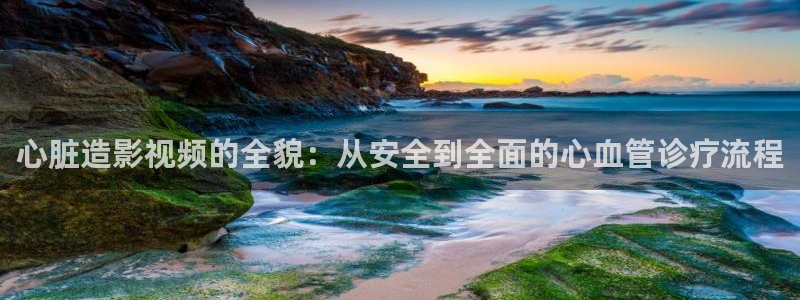 泡泡影视手机大全：心脏造影视频的全貌：从安全到全面的心血管诊疗流程