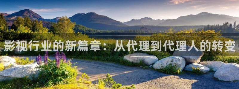 泡泡影视电视剧手机天堂：影视行业的新篇章：从代理到代理人的转变