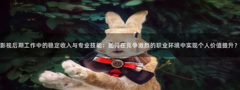 泡泡影视电影天堂：影视后期工作中的稳定收入与专业技能：如何在竞争激烈的职业环境中实现个人价值提升？