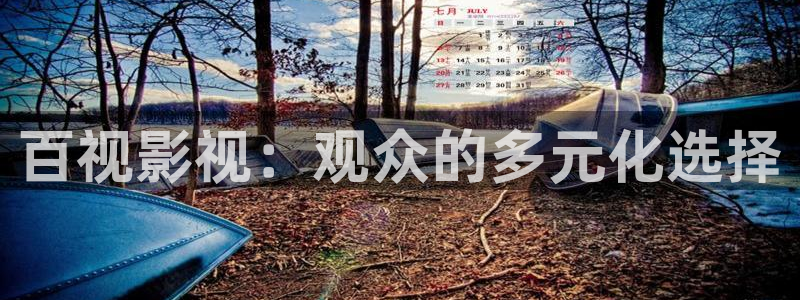 泡泡影视网站：百视影视：观众的多元化选择