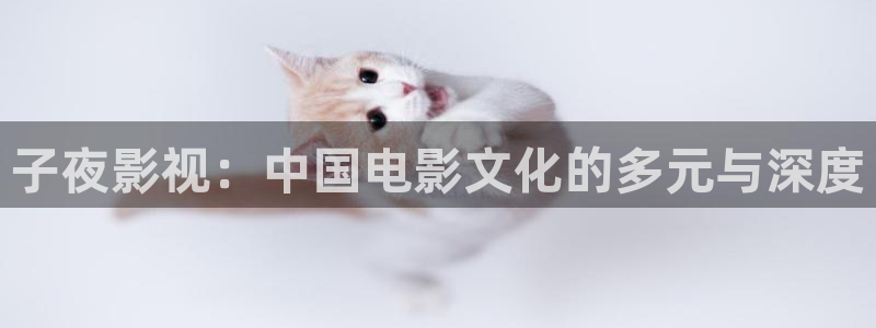泡泡影视网页版：子夜影视：中国电影文化的多元与深度