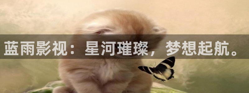 泡泡影视大全在线观看：蓝雨影视：星河璀璨，梦想起航。