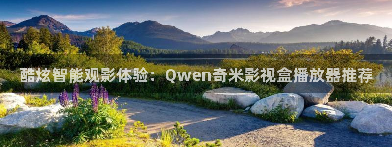泡泡影视手机：酷炫智能观影体验：Qwen奇米影视盒播放器推荐