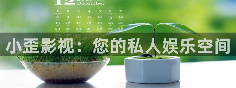泡泡影视屋：小歪影视：您的私人娱乐空间
