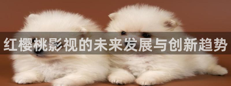 泡泡影视在线观看：红樱桃影视的未来发展与创新趋势