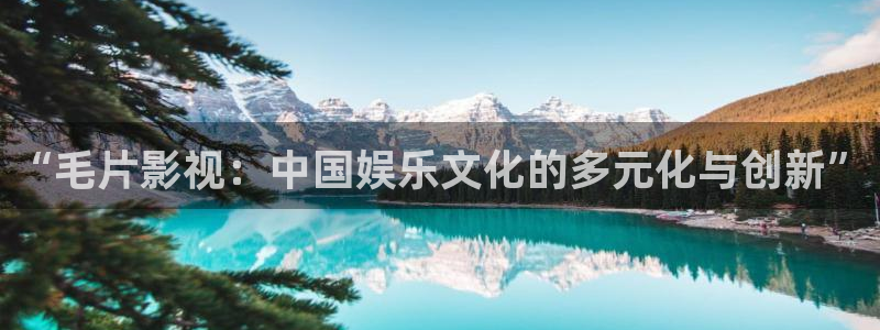 泡泡影视大全app：“毛片影视：中国娱乐文化的多元化与创新”