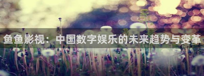 泡泡影视电影大全：鱼鱼影视：中国数字娱乐的未来趋势与变革